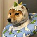 满城烟火不及她～