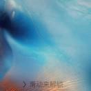 椒盐粉身碎骨