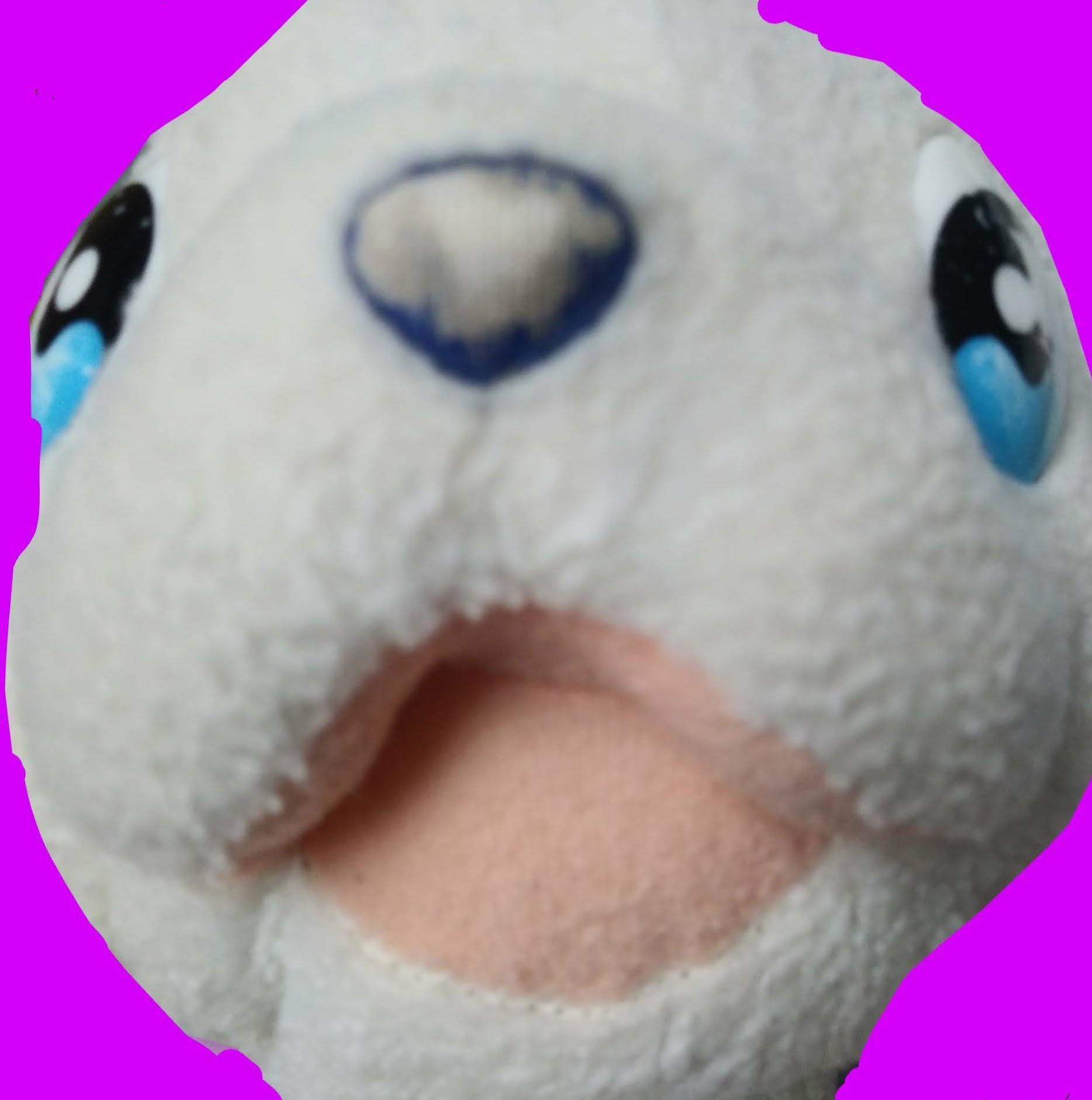 BO보