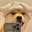 伊落