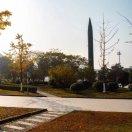 坐蜗牛上学