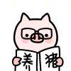 猪猪机器人