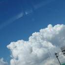 pan