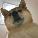 ~