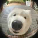 离谱