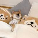 萧笙
