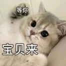 陈茂芳2