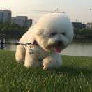 关耳丶丨