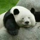 paba