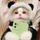 靓黑喵喵🐻 QAQ