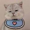 User455656006