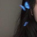 球仙人在无人区