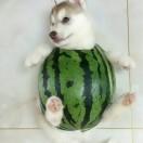 吃我一拳