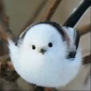 从此不敢看物理