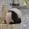 咸鱼变肥鱼