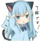 User445407877