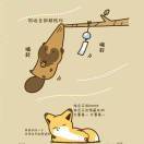 特搜红蓝战士