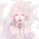 慧
