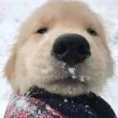 网恋被骗三百块