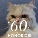 何必