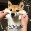 好NB