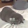 迷失
