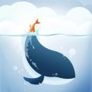 贾子楠🐋