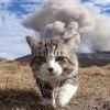 打小我就是夜猫🐱