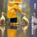 石头