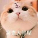 无敌可爱虎宝宝