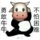 许梓怡