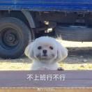 背多分