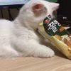 针不错