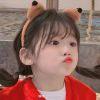 User514005081