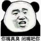 熊猫R