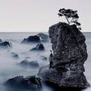 叶暮云凉