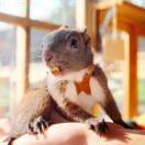 大脚板蜀黍👻 จุ๊บ