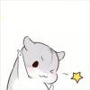H。Y。H