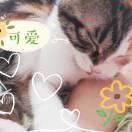 祭云妃