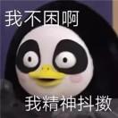 A»李小布