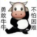 勇敢勇者不怕困难