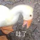 LL