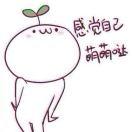 懒羊羊🌹