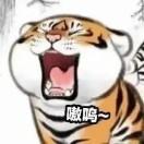 小脑斧