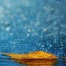 谷雨