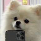 嗯
