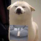 初一