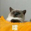 星心