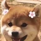 芜湖