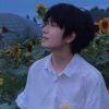宝藏洋仔